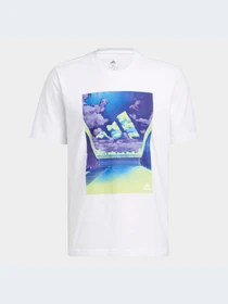 Футболки і поло Adidas Graphics модель HE2308 Фото
