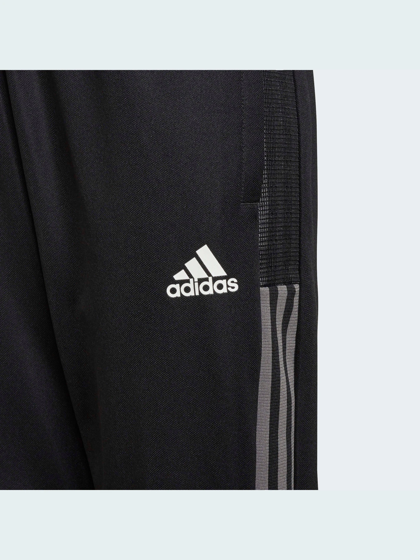 Брюки Adidas модель GR2960 Фото