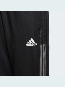 Брюки Adidas модель GR2960 Фото
