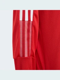 Худи и свитшоты Adidas Tiro модель GM7323 Фото