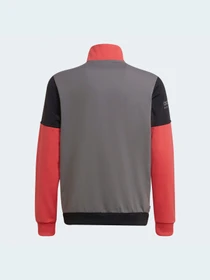 Худи и свитшоты Adidas Adventure модель HE2065 Фото