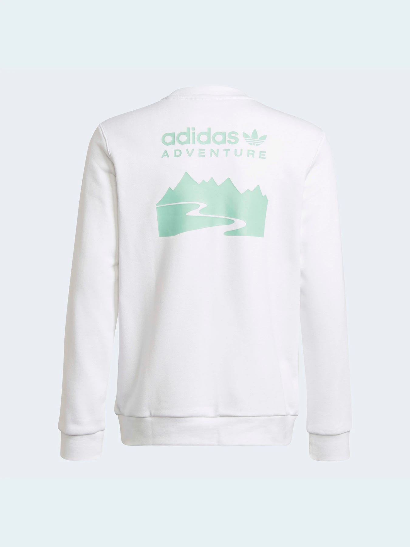 Худі та світшоти Adidas модель HE2063 Фото