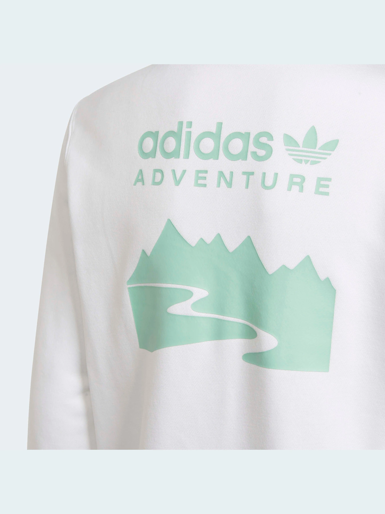 Худі та світшоти Adidas модель HE2063 Фото