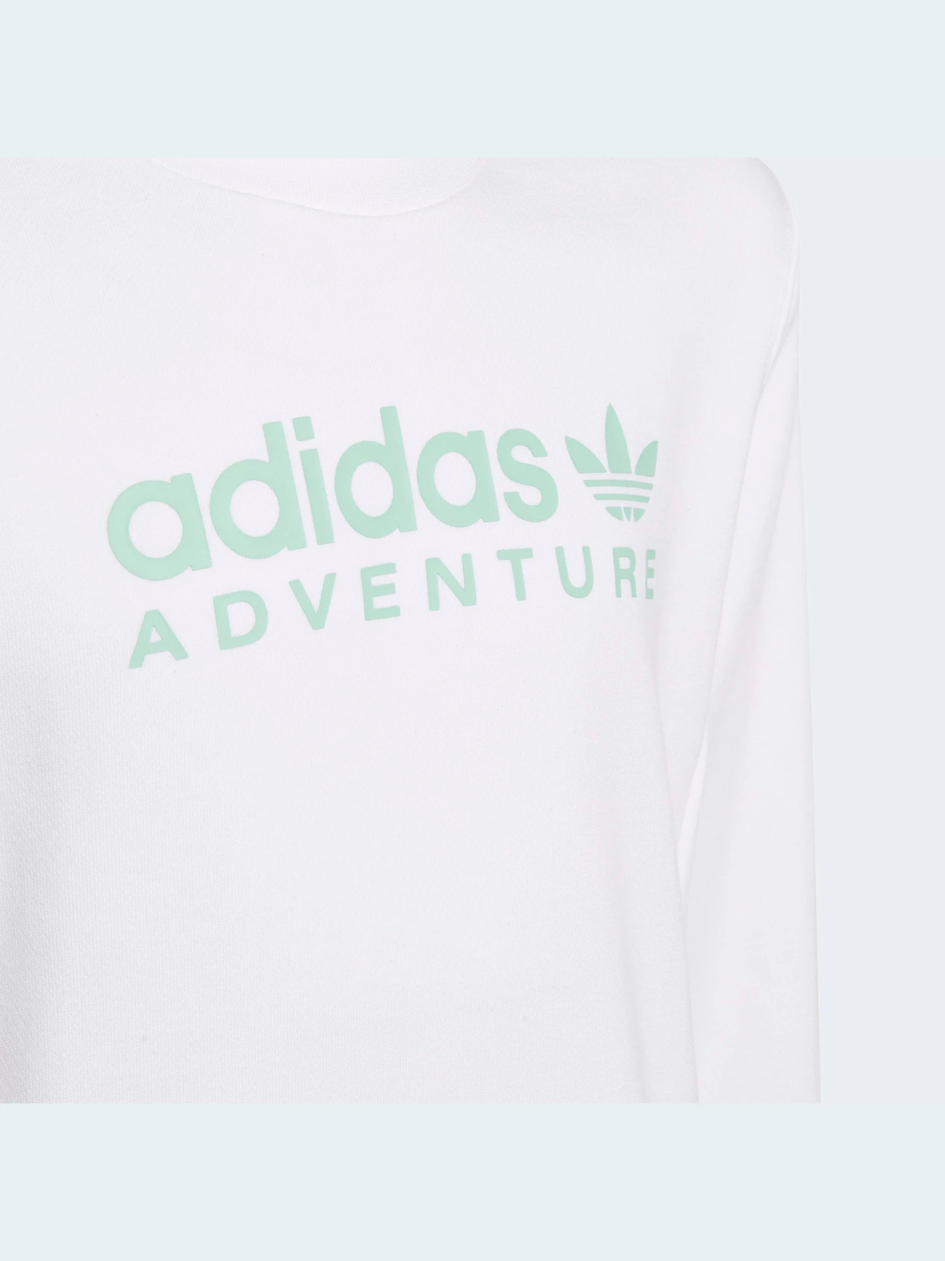 Худі та світшоти Adidas модель HE2063 Фото