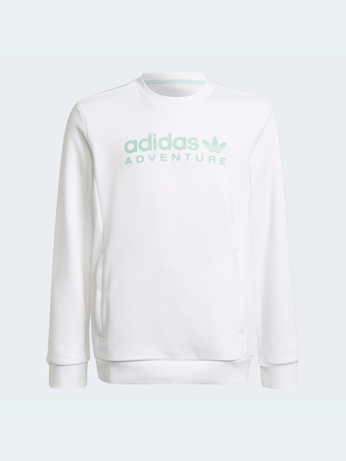 Худі та світшоти Adidas модель HE2063 Фото