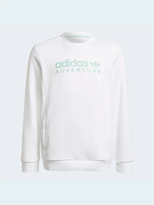 Худи и свитшоты Adidas модель HE2063 Фото