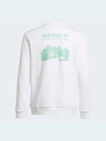 Худі та світшоти Adidas модель HE2063 Фото