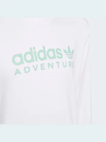 Худі та світшоти Adidas модель HE2063 Фото