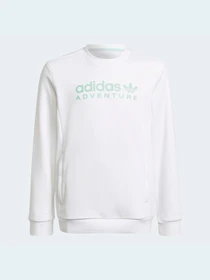Худі та світшоти Adidas модель HE2063 Фото
