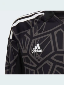 Худі та світшоти Adidas Condivo модель HB1643 Фото