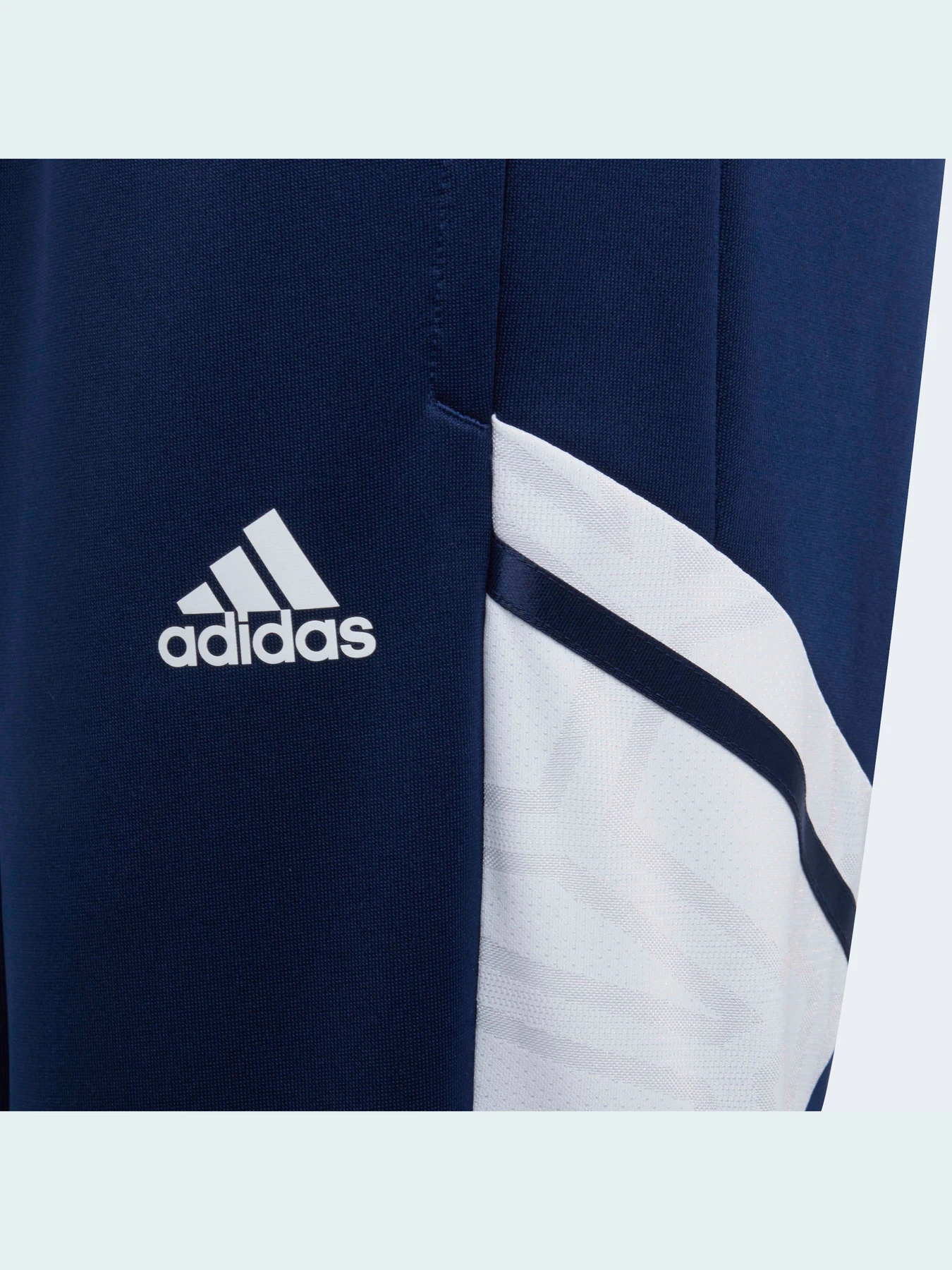 Штани Adidas Condivo модель H21263 Фото