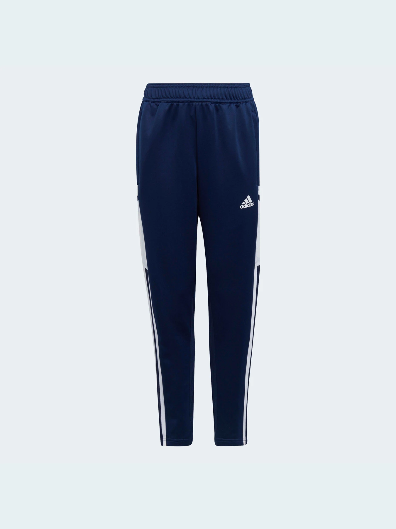 Штани Adidas Condivo модель H21263 Фото