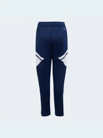Штани Adidas Condivo модель H21263 Фото