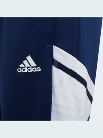 Штани Adidas Condivo модель H21263 Фото