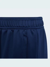Штани Adidas Condivo модель H21263 Фото