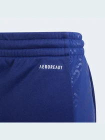 Брюки Adidas модель GT9406 Фото