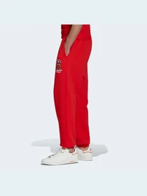 Брюки Adidas модель HK7444 Фото