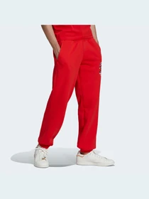 Брюки Adidas модель HK7444 Фото