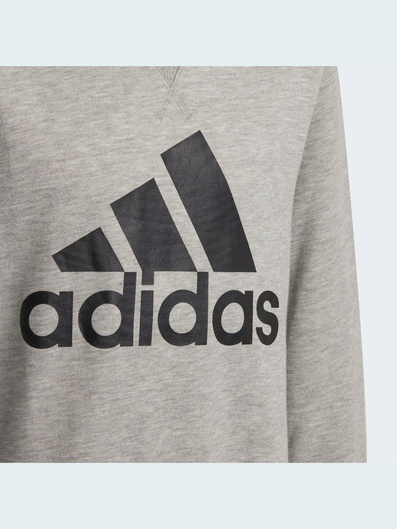 Худі та світшоти Adidas модель GS4273 Фото