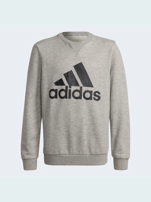 Худи и свитшоты Adidas модель GS4273 Фото