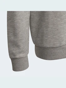 Худі та світшоти Adidas модель GS4273 Фото