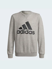 Худі та світшоти Adidas модель GS4273 Фото