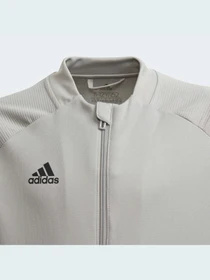 Худи и свитшоты Adidas Condivo модель FS7102 Фото