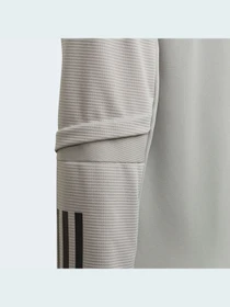 Худи и свитшоты Adidas Condivo модель FS7102 Фото