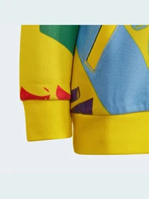 Худи и свитшоты Adidas модель HM2196 Фото