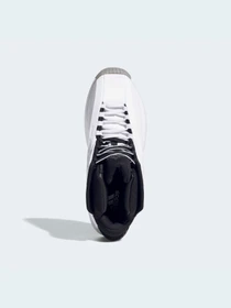 Кроссовки Adidas модель GY3810 Фото