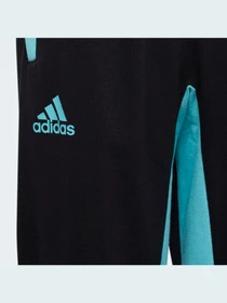 Брюки Adidas модель GR9796 Фото