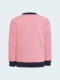 Костюмы Adidas модель HM9393 Фото