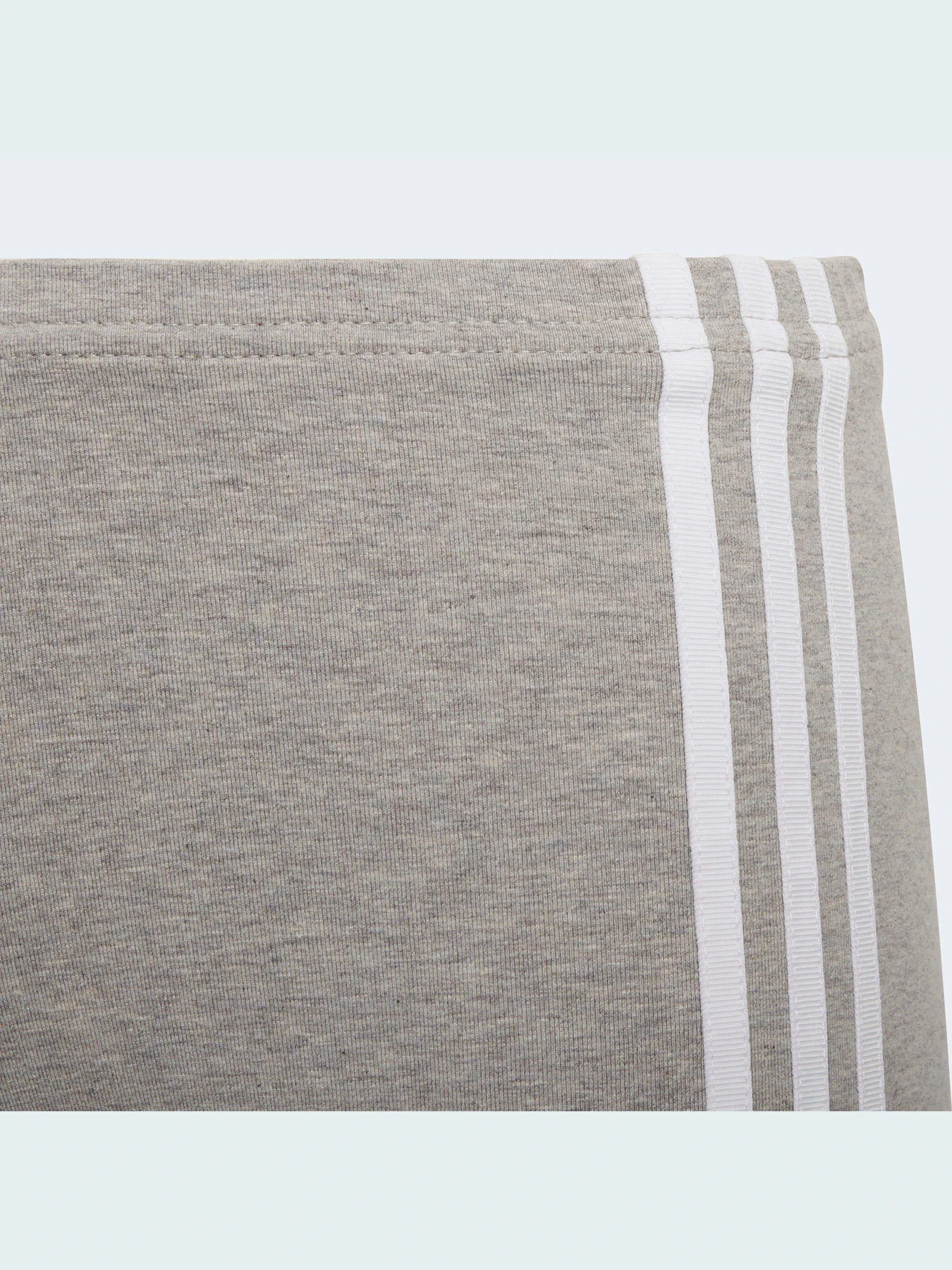 Шорти Adidas Adicolor модель HD2039 Фото