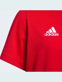 Футболки и поло Adidas модель HF1350 Фото