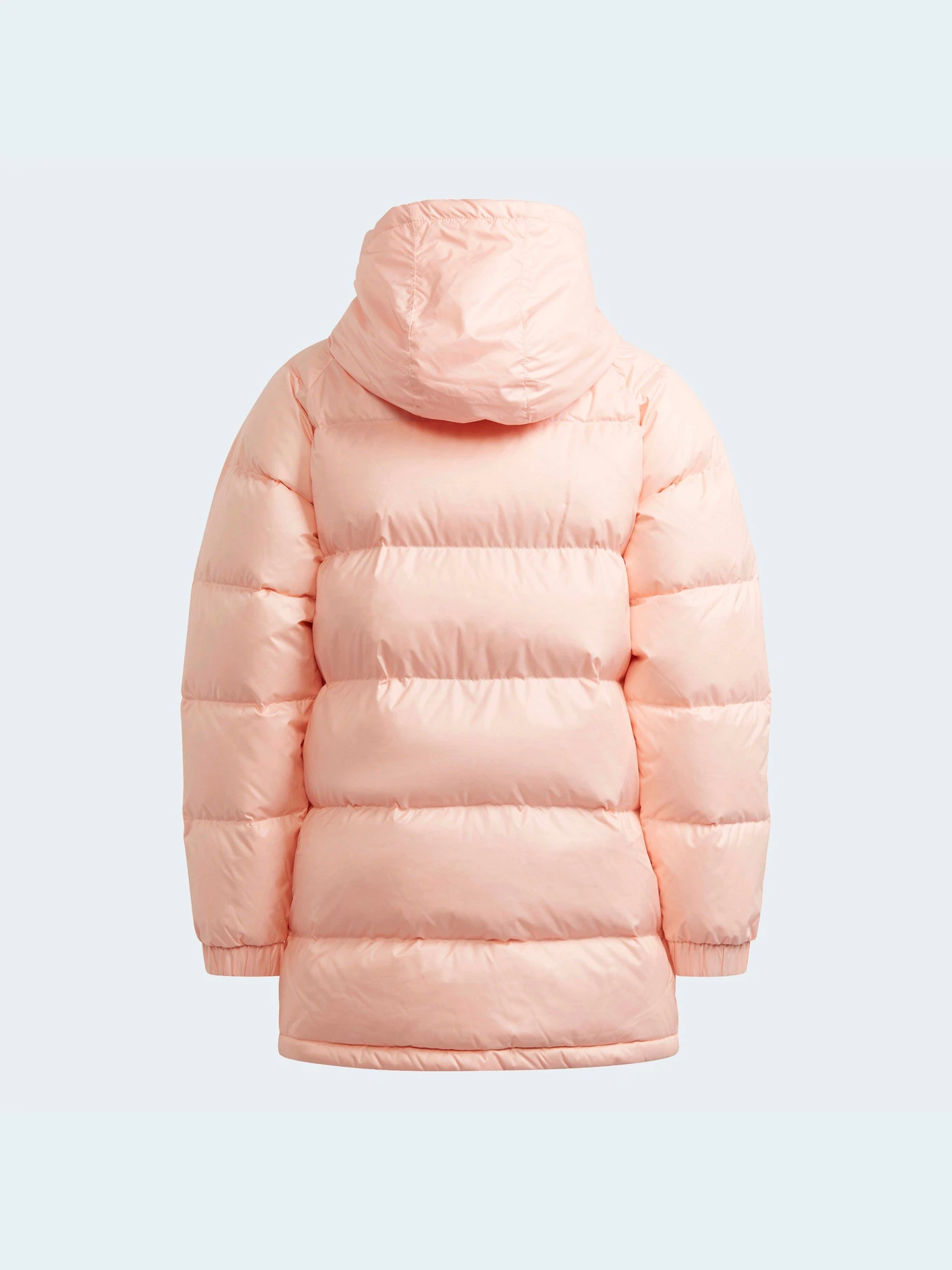 Куртки и дубленки Adidas модель H34568 Фото