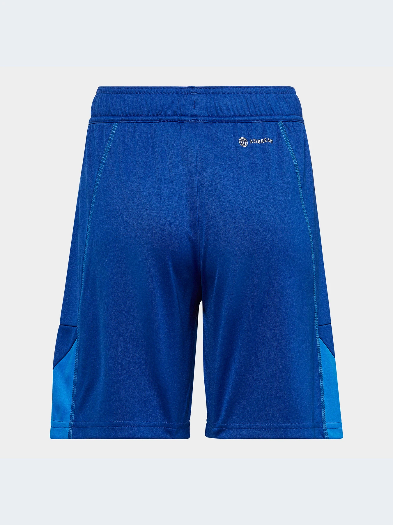 Шорты Adidas модель HC1295 Фото