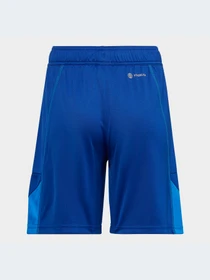 Шорты Adidas модель HC1295 Фото