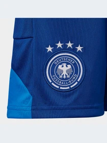 Шорты Adidas модель HC1295 Фото