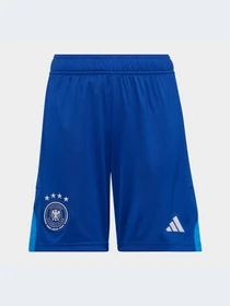 Шорты Adidas модель HC1295 Фото