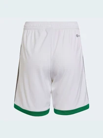 Шорты Adidas модель HA5448 Фото