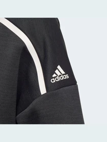 Худи и свитшоты Adidas модель GT2525 Фото