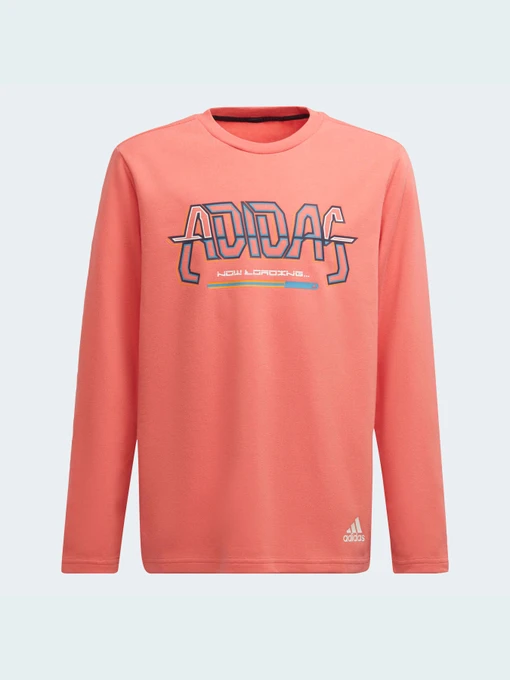 Худи и свитшоты Adidas модель HD6866 Фото