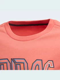Худі та світшоти Adidas модель HD6866 Фото