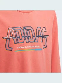 Худі та світшоти Adidas модель HD6866 Фото