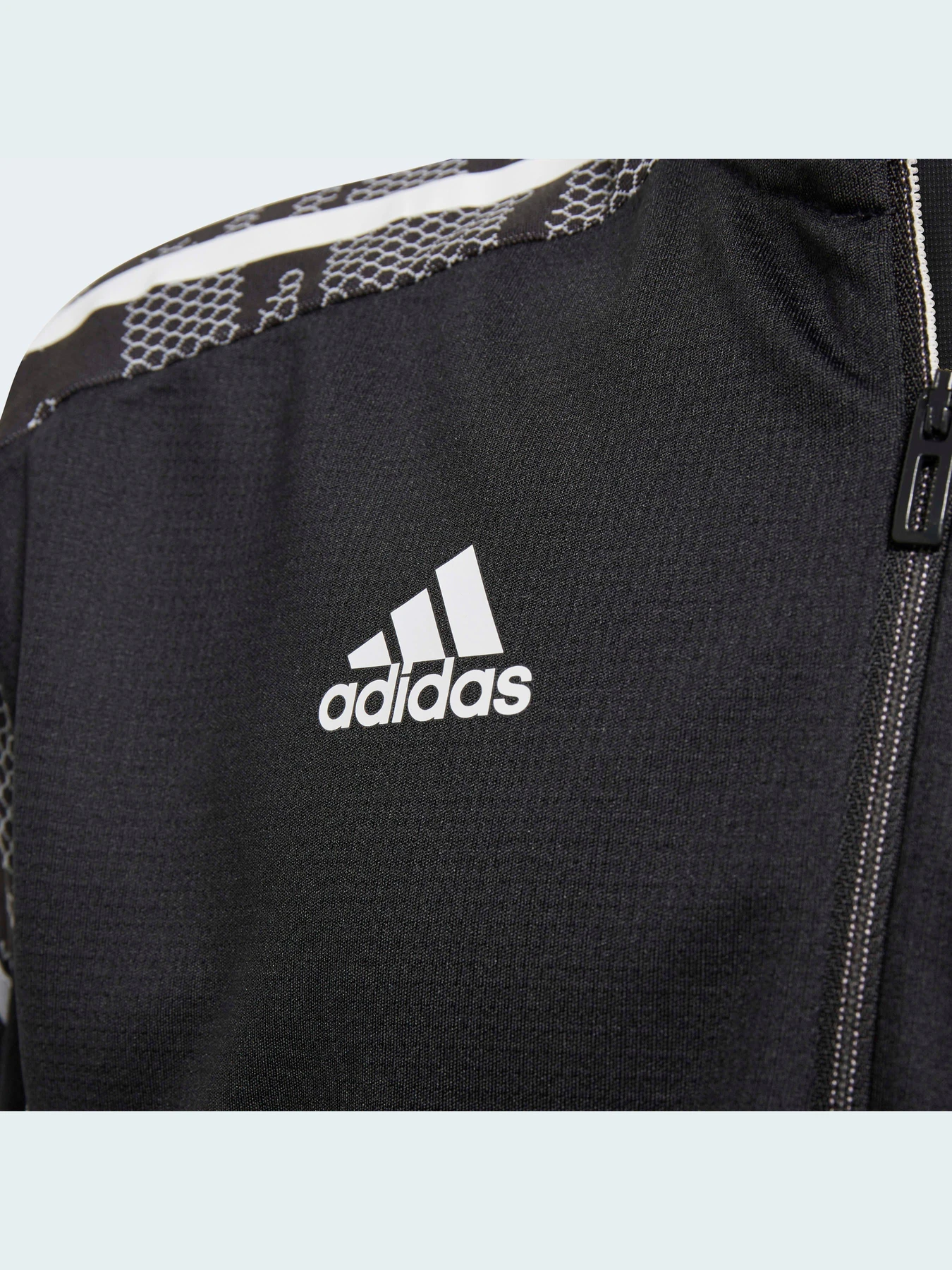 Худи и свитшоты Adidas Condivo модель GH7151 Фото
