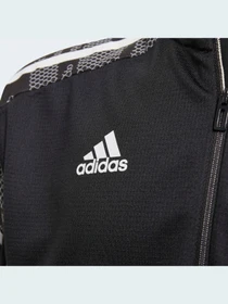 Худи и свитшоты Adidas Condivo модель GH7151 Фото