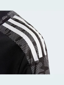 Худи и свитшоты Adidas Condivo модель GH7151 Фото
