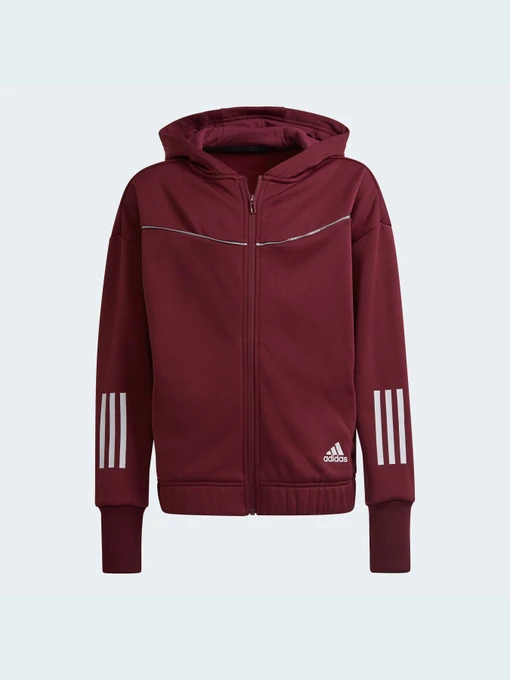 Худи и свитшоты Adidas модель GV2027 Фото
