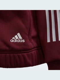 Худи и свитшоты Adidas модель GV2027 Фото