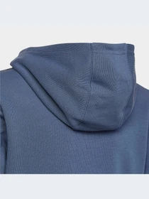 Худи и свитшоты Adidas модель HK0283 Фото